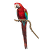 Green Winged Macaw