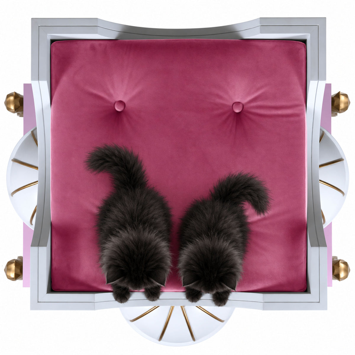 A top-down view of a pink and white upholstered chair with two fluffy black cats sitting on the magenta seat cushion against a white background.