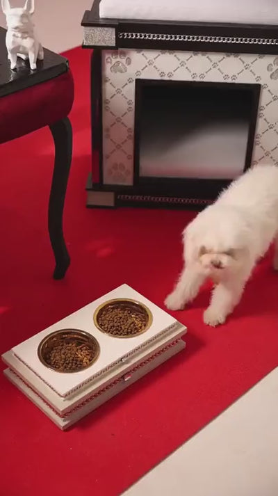 FUROAR Bon Appétit luxury pet dining collection showcasing high-end designer feeders and handcrafted feeding furniture for exceptional homes.