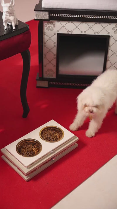 Bon Appétit pet feeders beyond luxury  by FUROAR