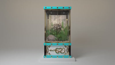 Luxury designer reptile enclosures by FUROAR, combining exceptional craftsmanship, elegant architecture and bespoke habitats for prestigious interiors.