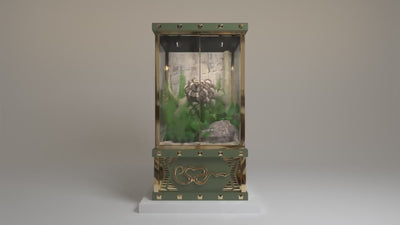The Forbidden luxury reptile enclosure collection for royal reptiles
