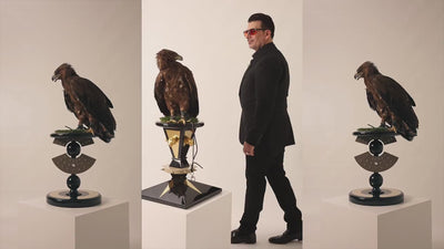 FUROAR falcons feature collection