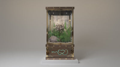 The Forbidden luxury reptile luxury reimagined 
