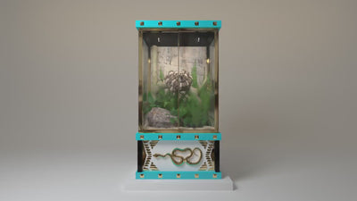 Reptiles
The world's first luxury reptile enclosure collection by FUROAR video