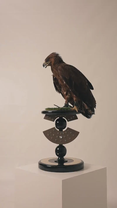 Majestic FUROAR FALCON Perch collection 