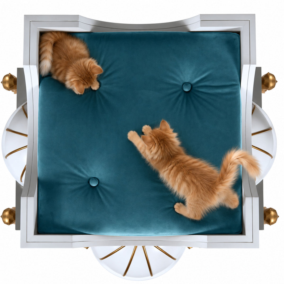 Top-down view of a square tufted cushion or bench seat in deep teal velvet, framed by a white and gold decorative border, with two orange cats lying on the cushion against a white background.