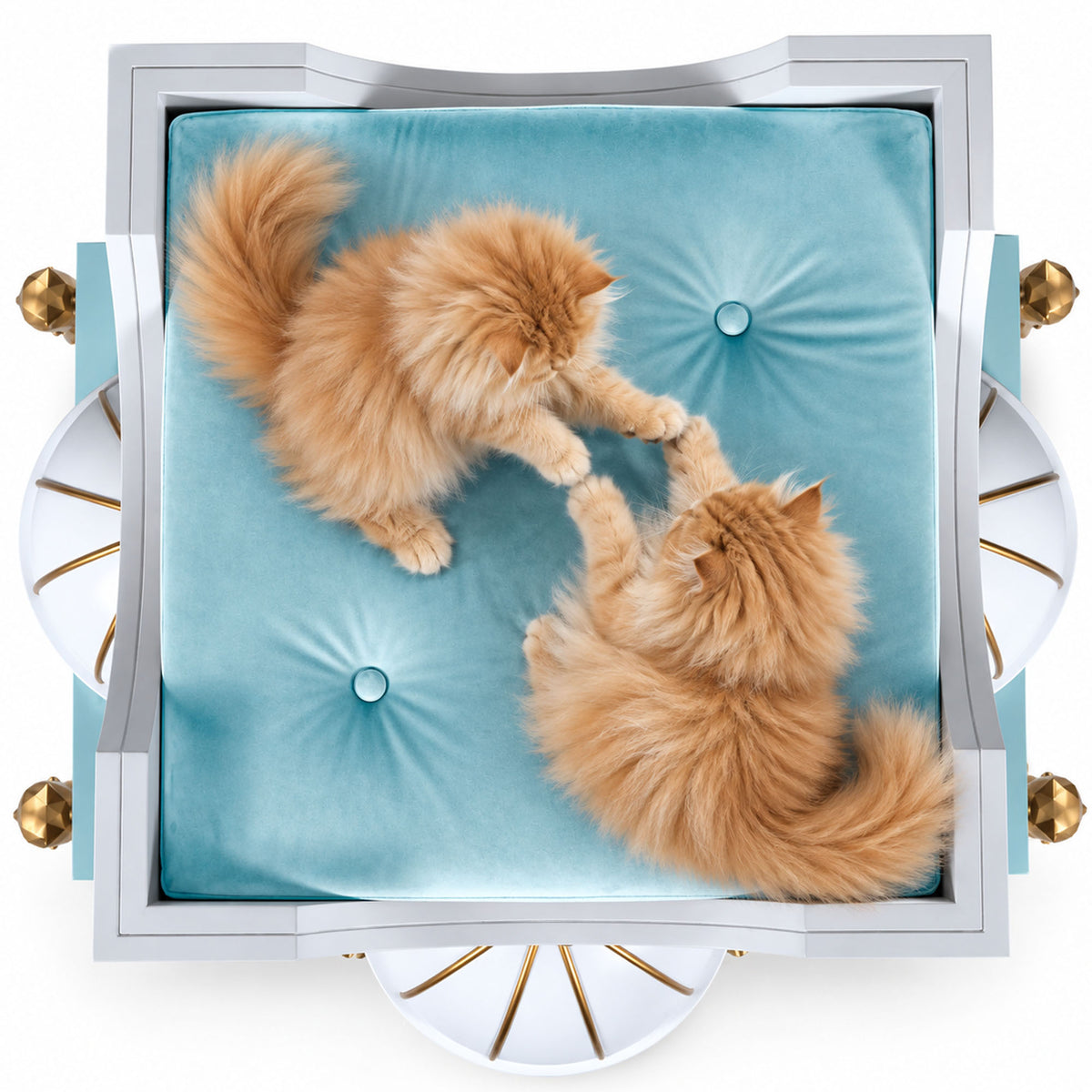 Top-down view of a square pet bed with a light blue tufted cushion and two fluffy orange cats lying on it, set against a white background.
