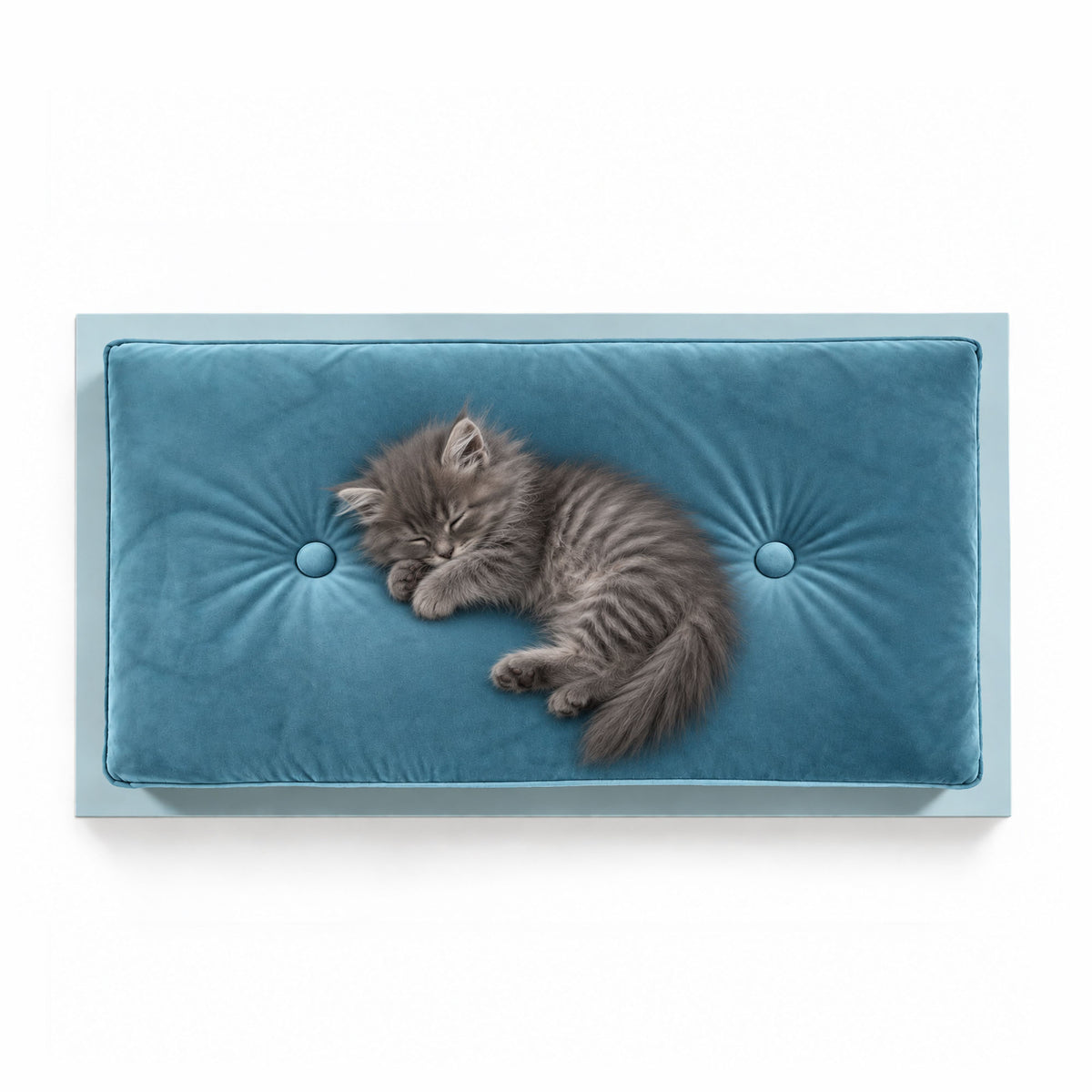 FUROAR Sky Small luxury pet bed with a soft blue velvet cushion and a small long-haired grey kitten sleeping peacefully, photographed from an aerial view on a clean white background.