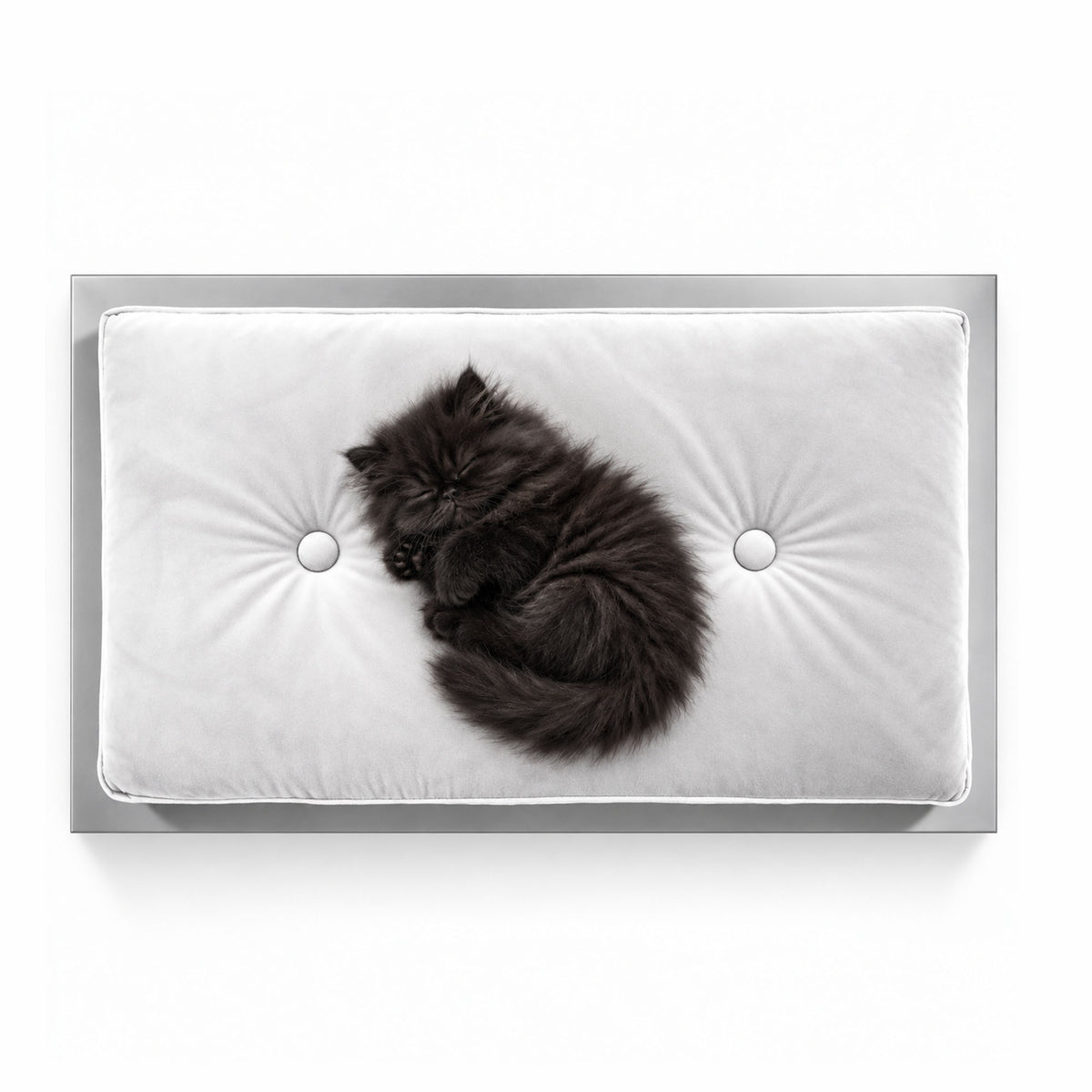 Snow Small luxury pet bed with a white velvet tufted cushion, silver-grey frame, and a small black long-haired Persian kitten sleeping curled on top, photographed from above on a clean white background.
