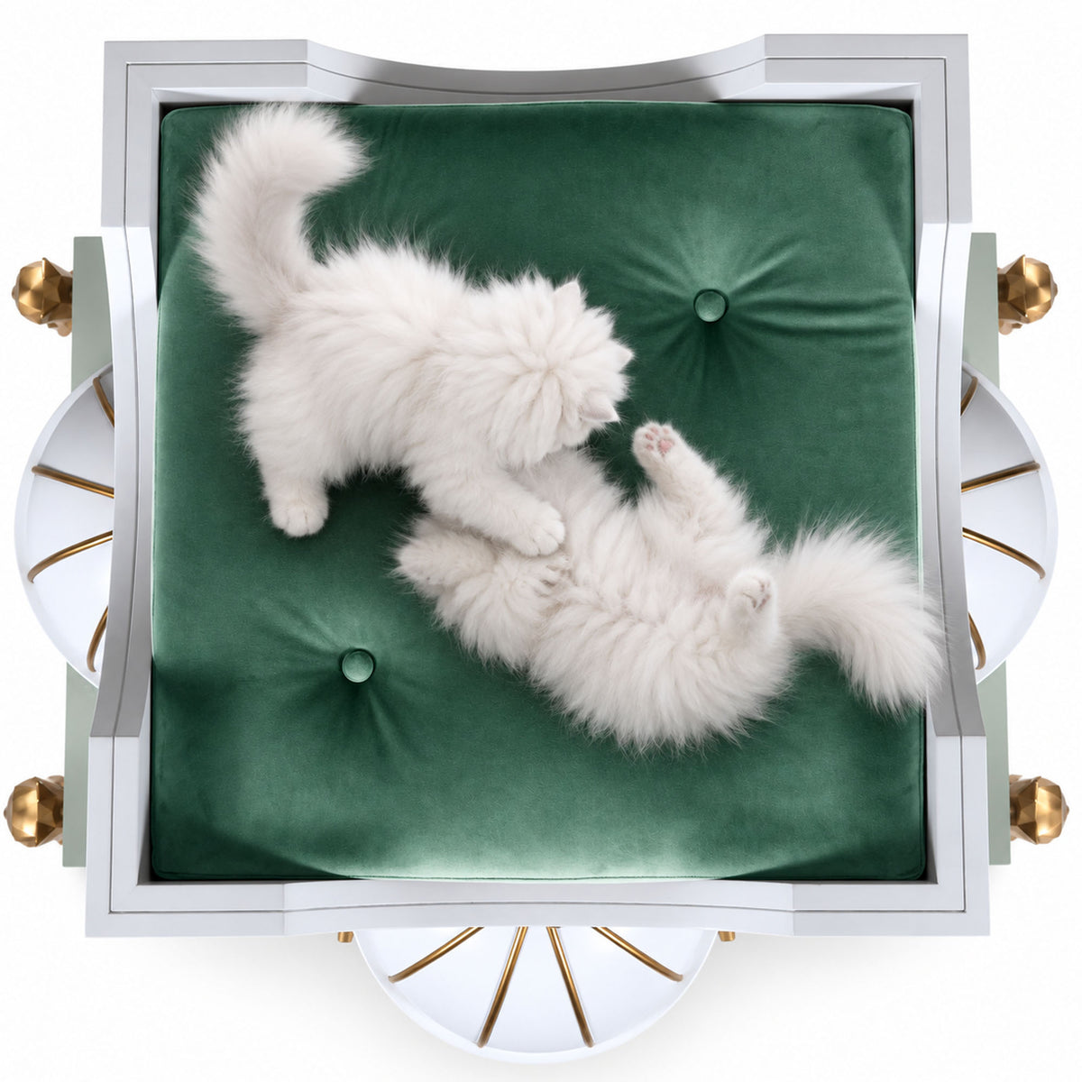 A top-down view of a white upholstered armchair with a large green tufted cushion, featuring two fluffy white kittens playing on the cushion against a white background.