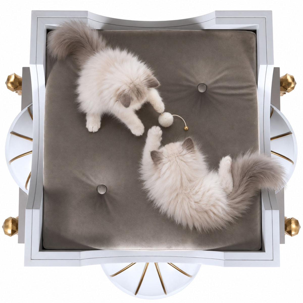 Two fluffy cream-colored cats playing with a small white ball on a round taupe-gray tufted cushion inside a white cat bed with gold accents, shown from a top-down view on a white background.