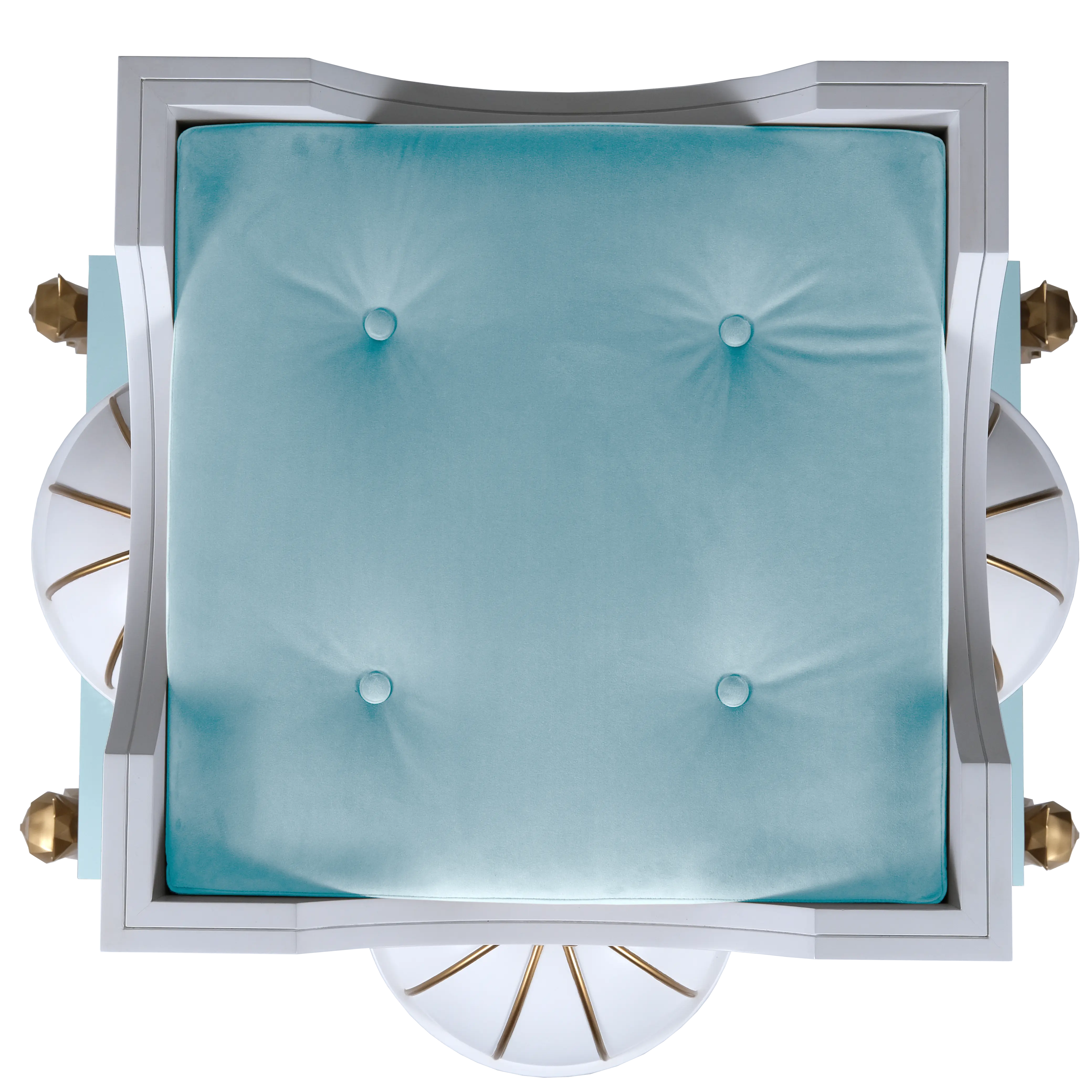 "Top-down view of the deluxe plush lining inside the REGINA sanctuary, featuring a bespoke royal design for the noble and exotic feline."