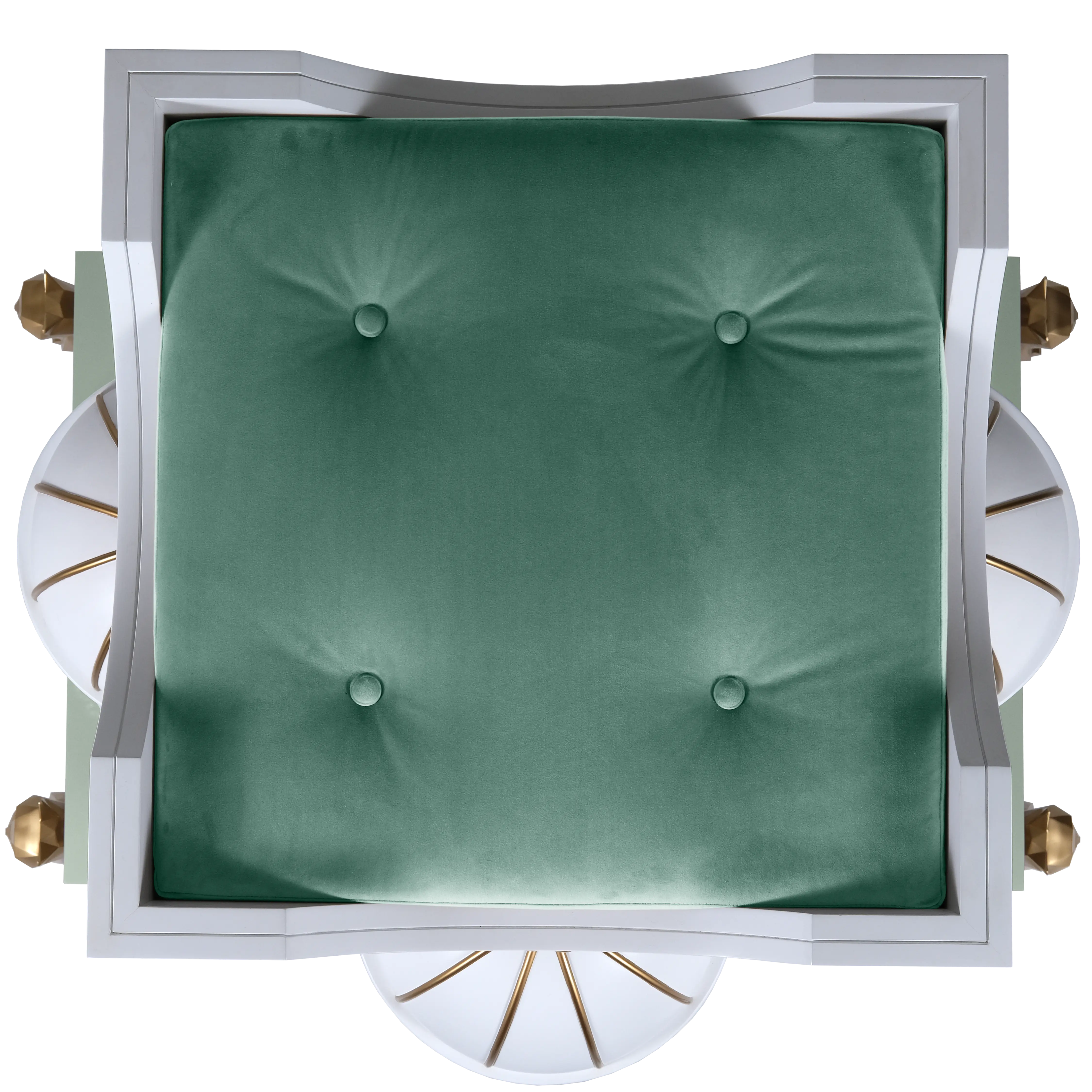 "Top-down view of the deluxe plush lining, featuring a bespoke royal design for the truly noble and exotic feline."