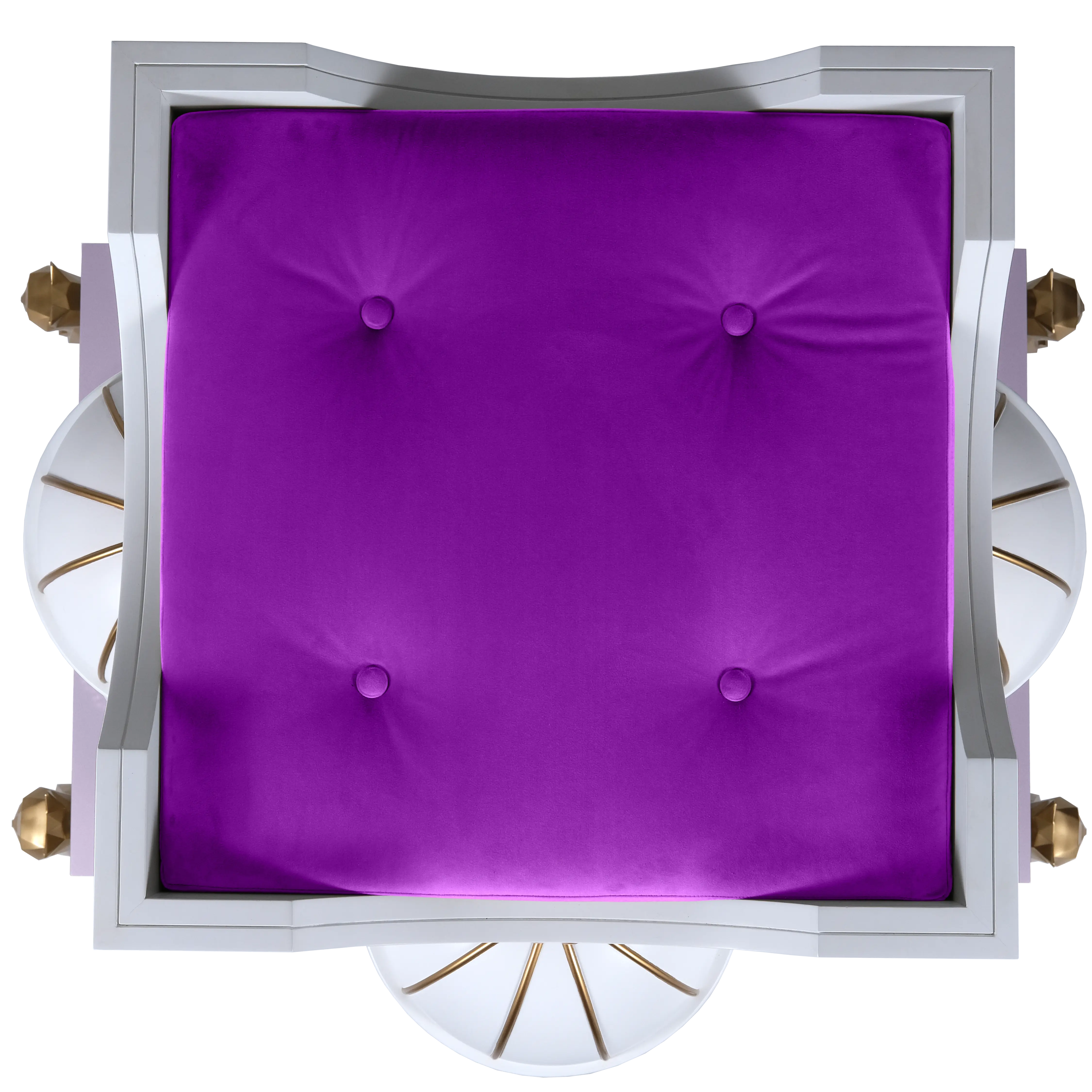 "Top-down view of the BIBI interior, featuring plush velvet lining for a truly noble and exotic feline experience."