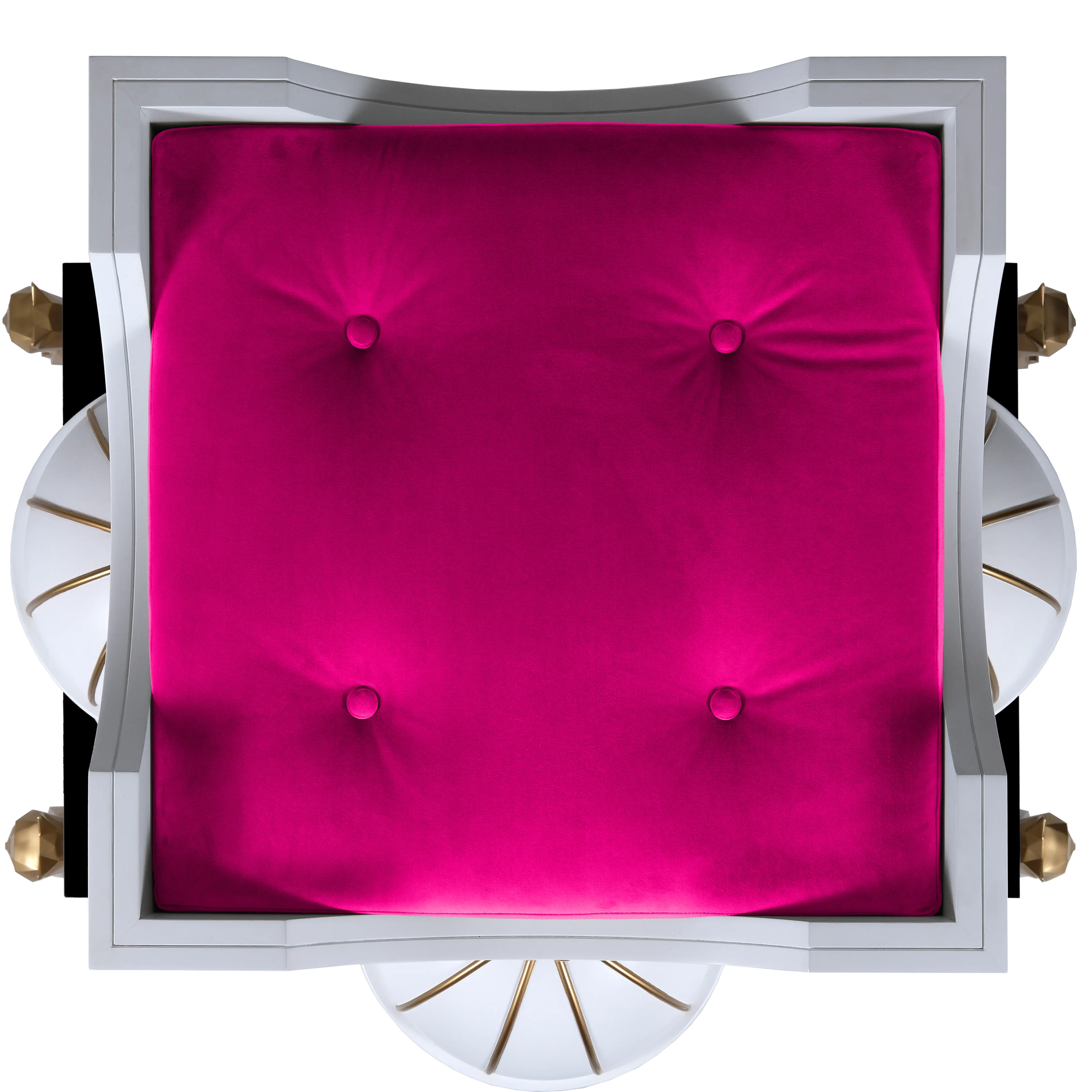 "Top-down view of the POSHY interior, featuring plush velvet lining for a truly noble and exotic feline experience."