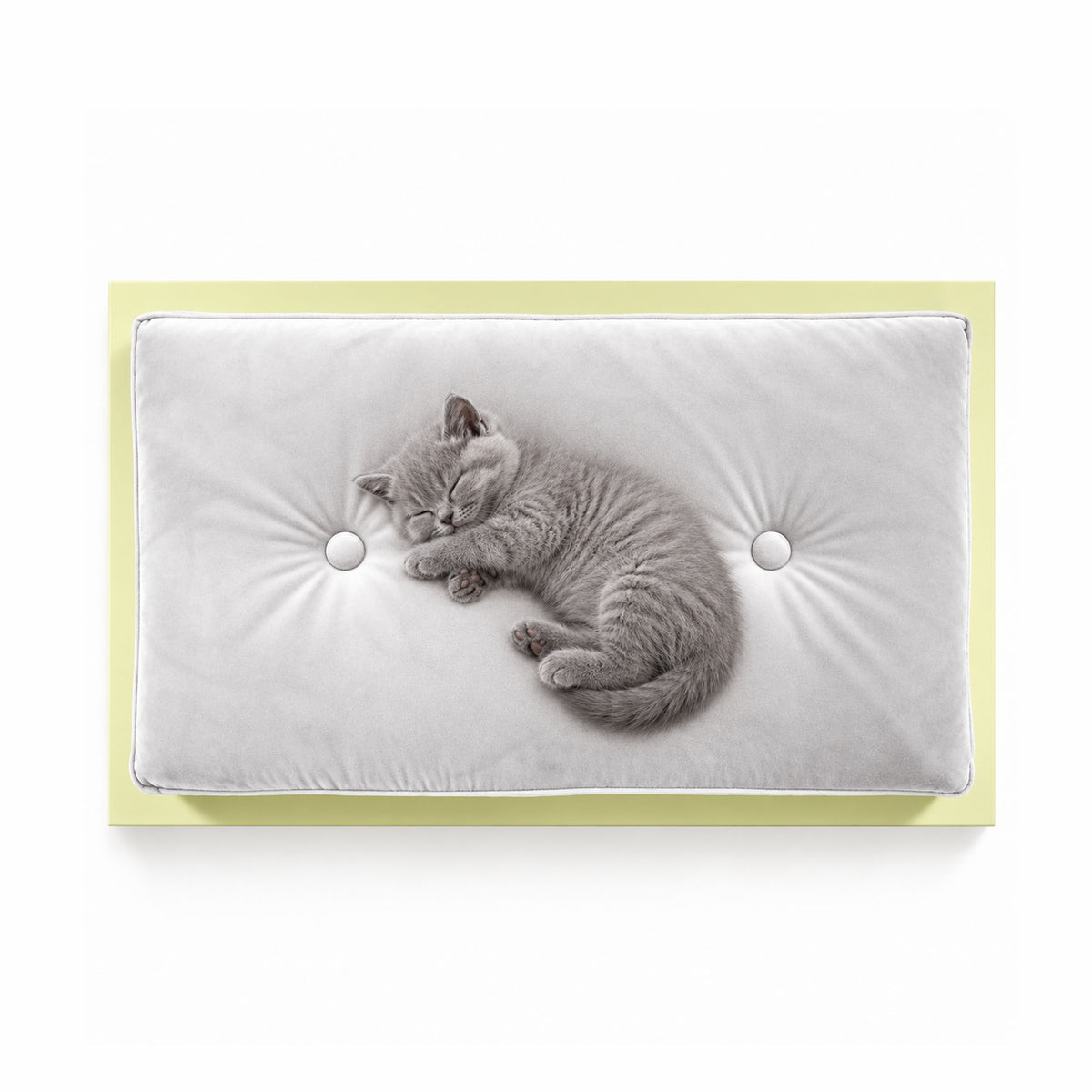 Twinkle Small luxury pet bed with a soft white velvet cushion, pale yellow frame, and a sleeping grey kitten, photographed from above on a clean white background.