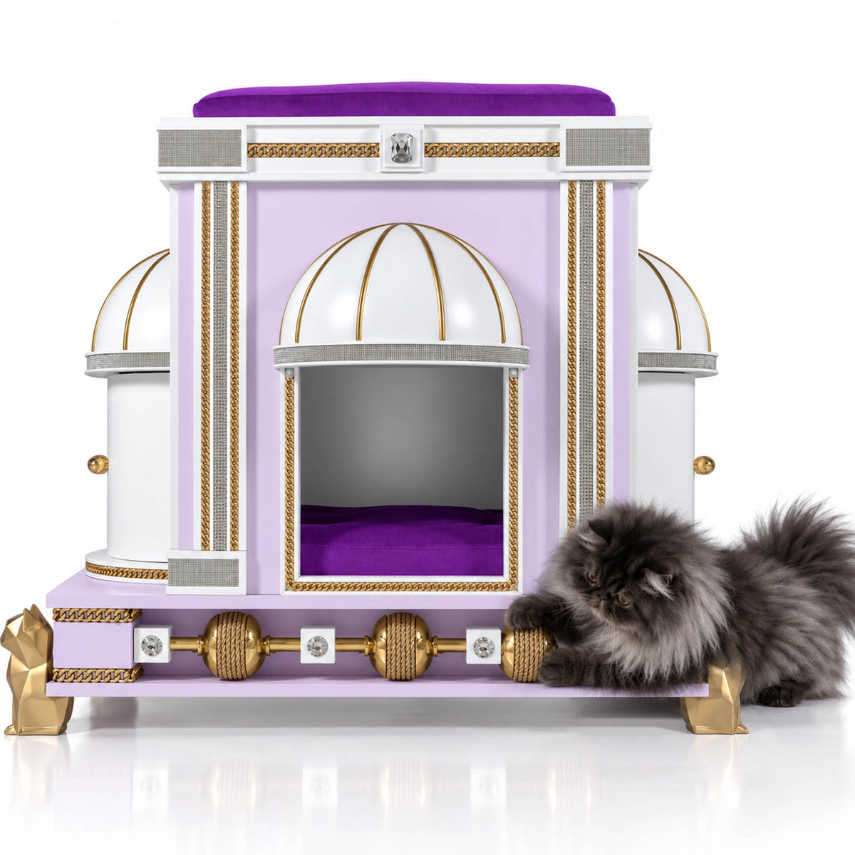 A fluffy long-haired cat lies beside an ornate purple and white cat bed with gold trim, set against a clean white background.