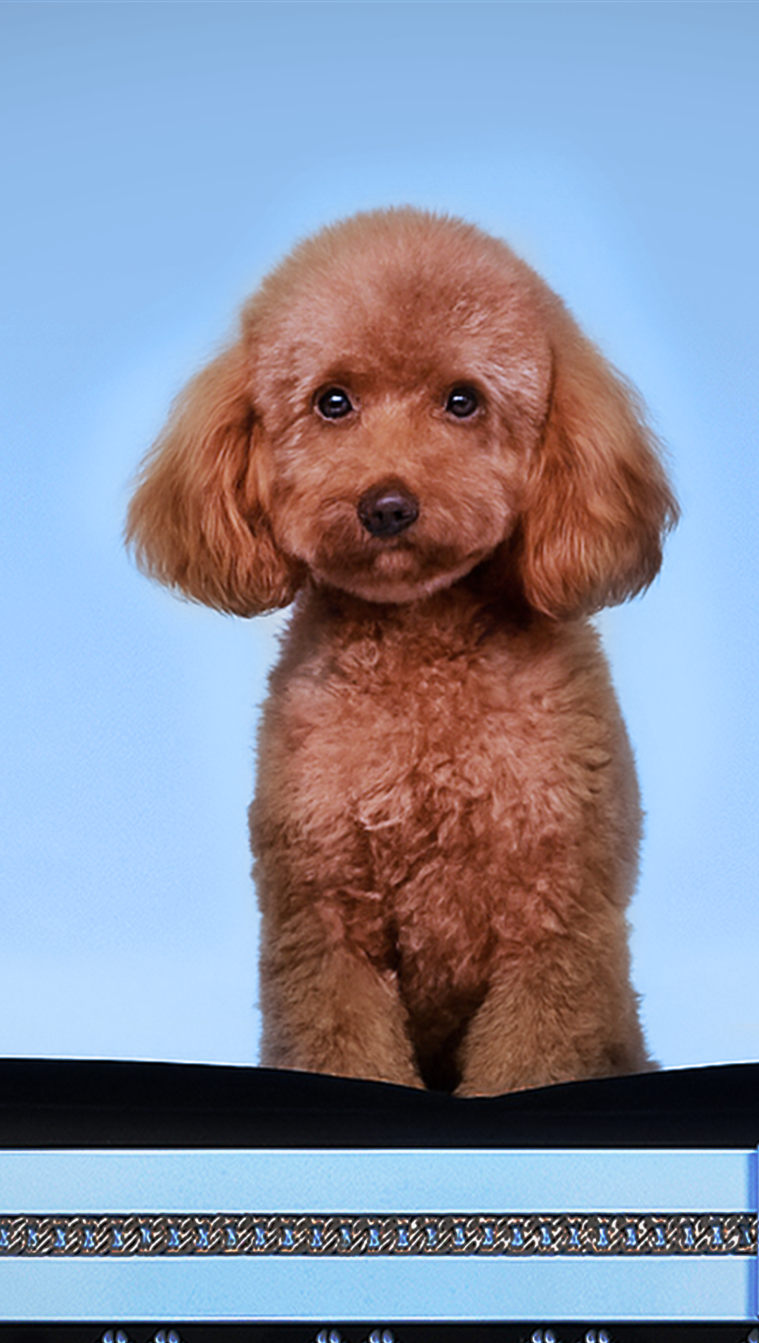 PUPPY PLAY Mobile Banner