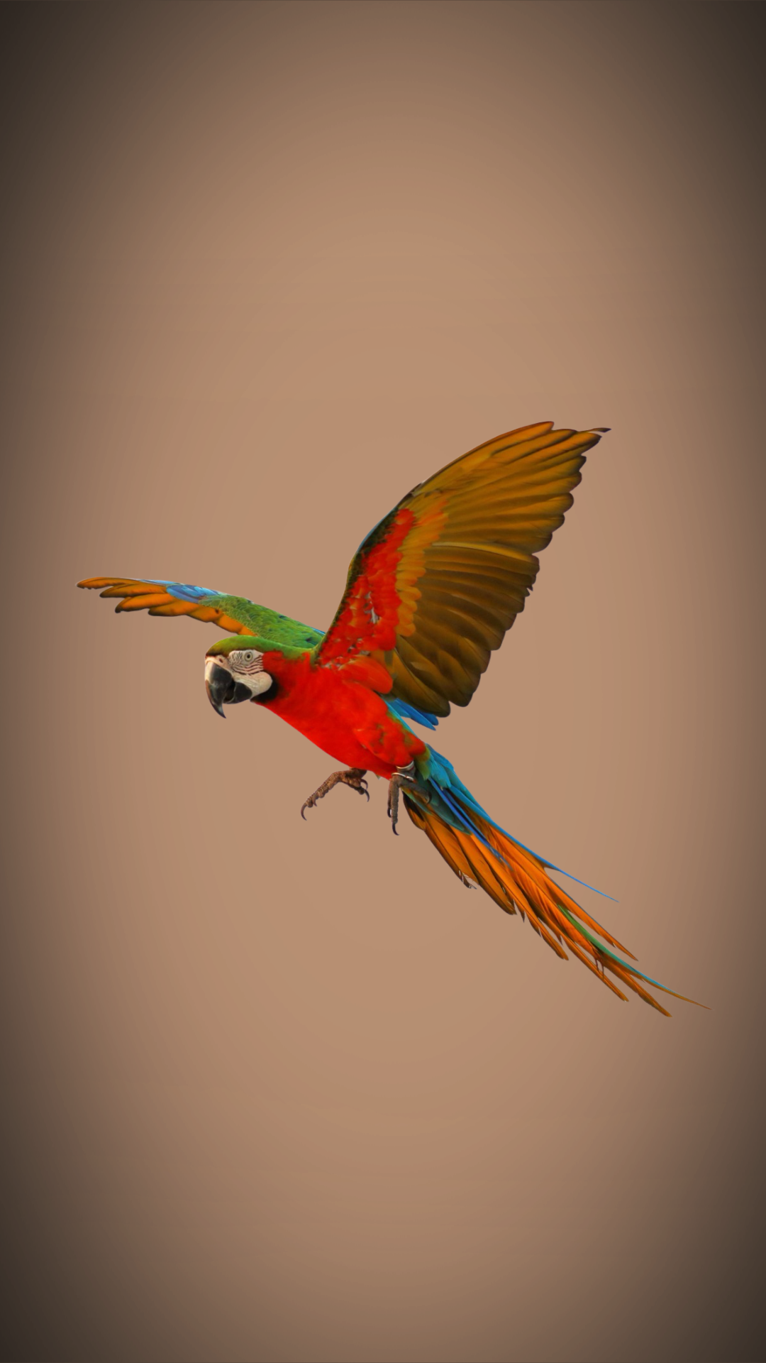 ROYAL PARK Mobile Banner