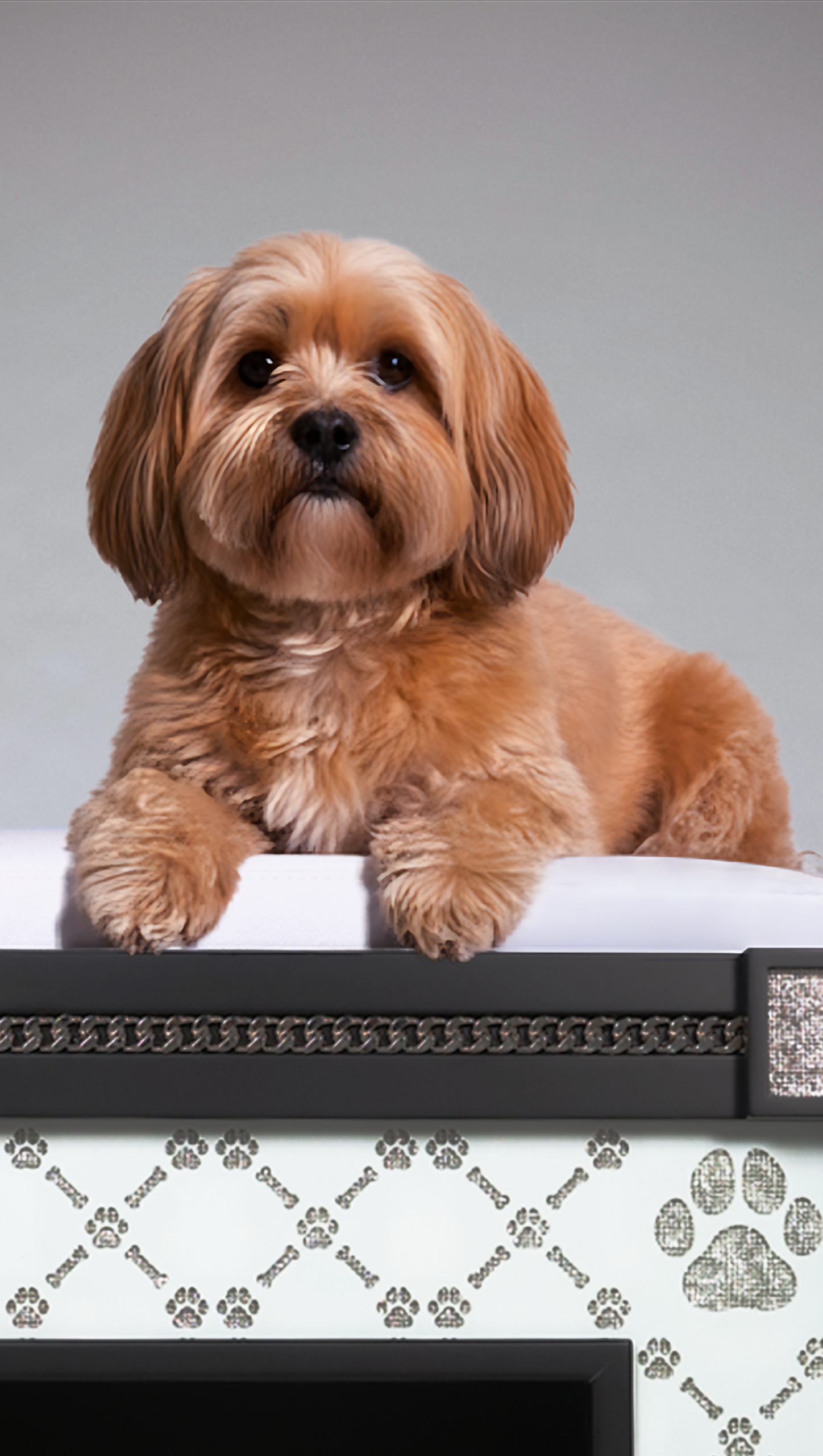 ROYAL PLAY Mobile Banner