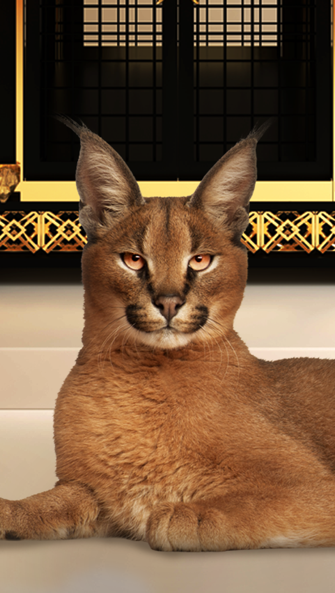 WILD ELITE Mobile Banner