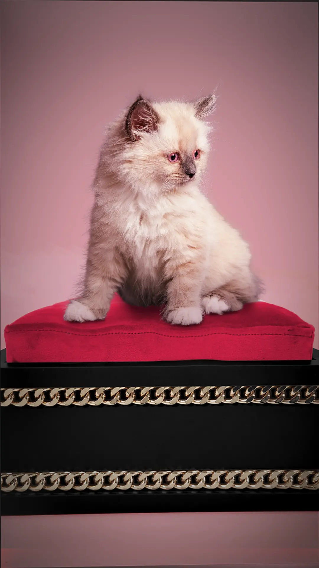 BONNE SOIRÉE Mobile Banner