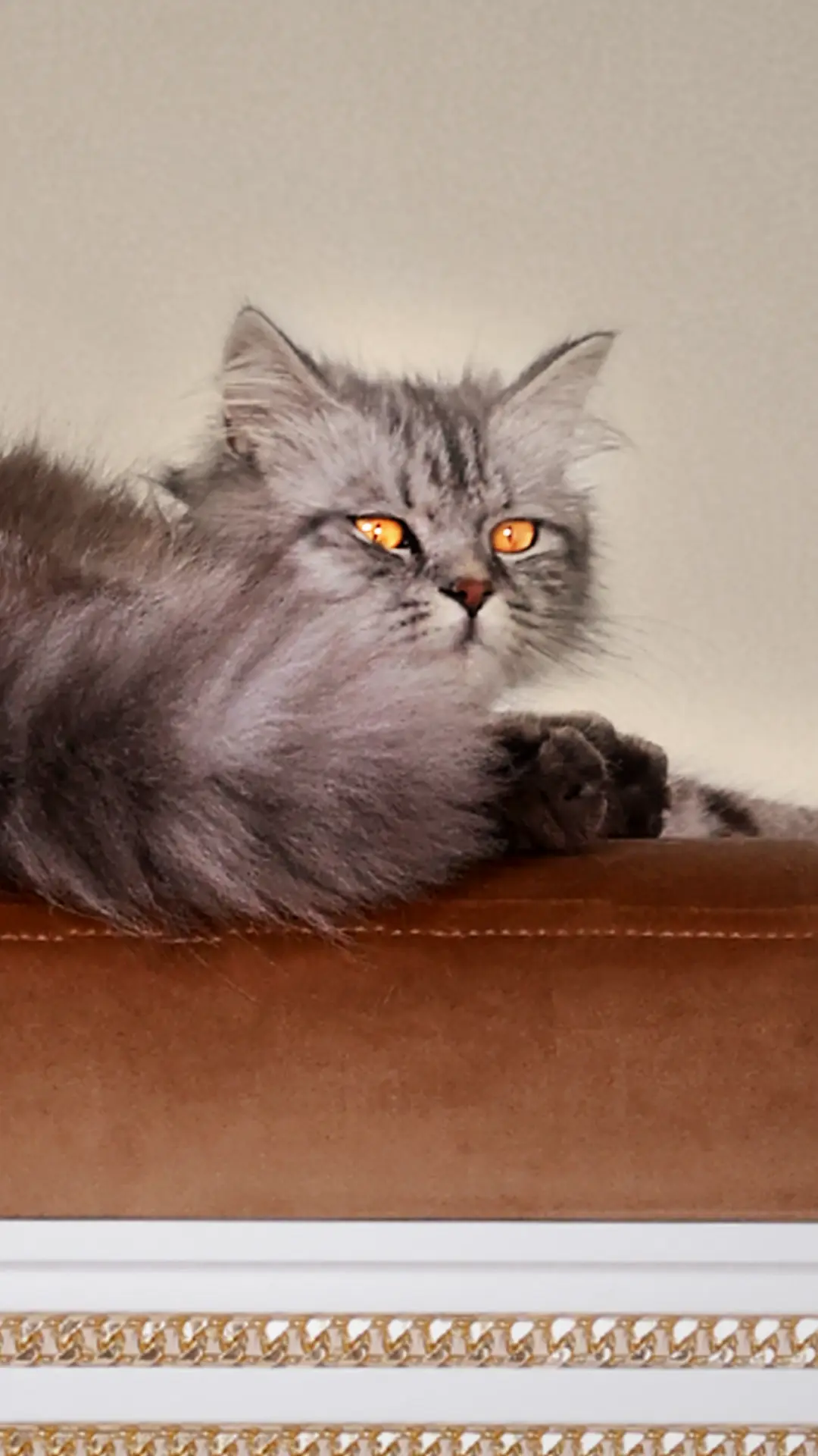 MANSION Mobile Banner