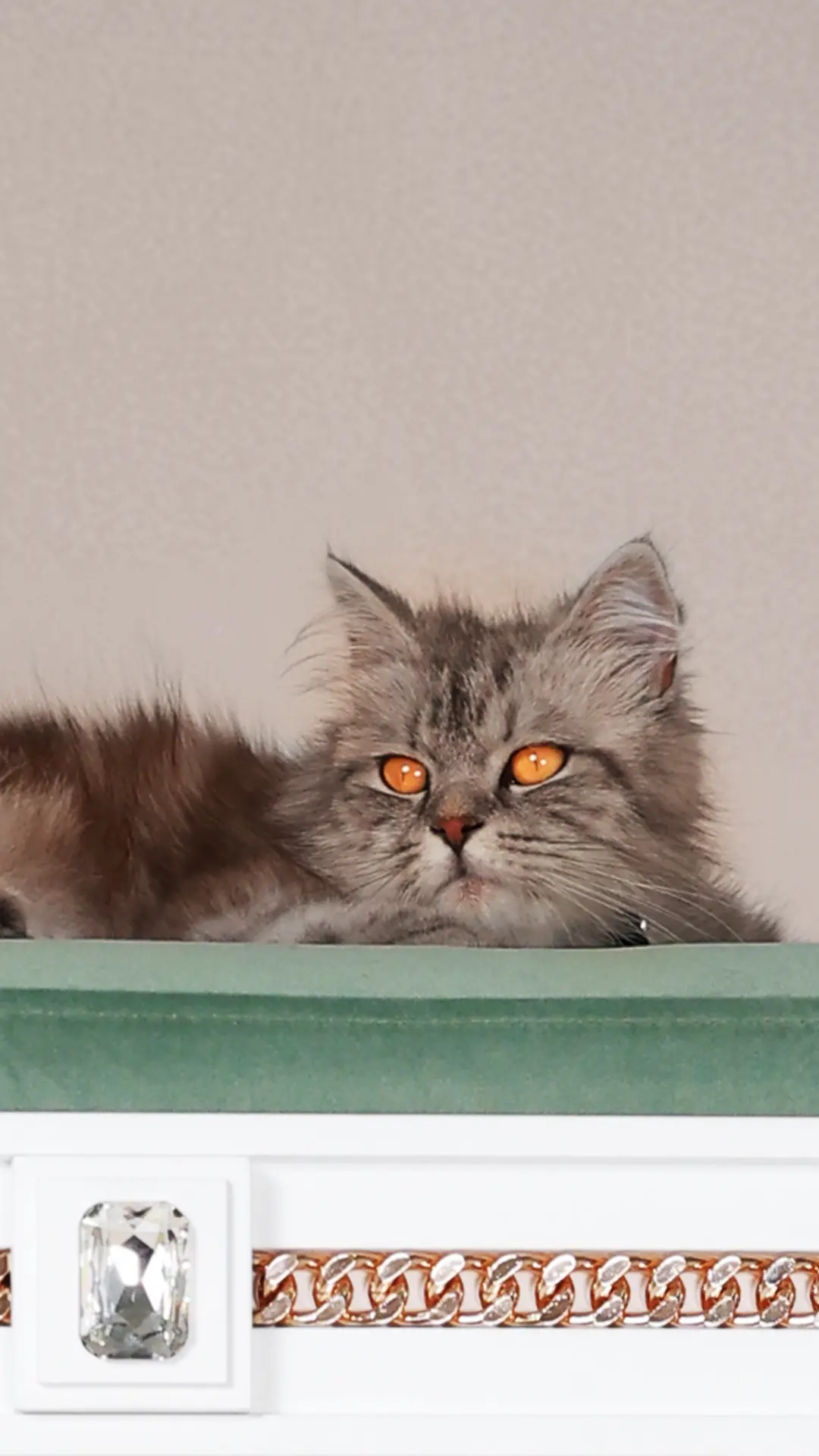 PALACE Mobile Banner