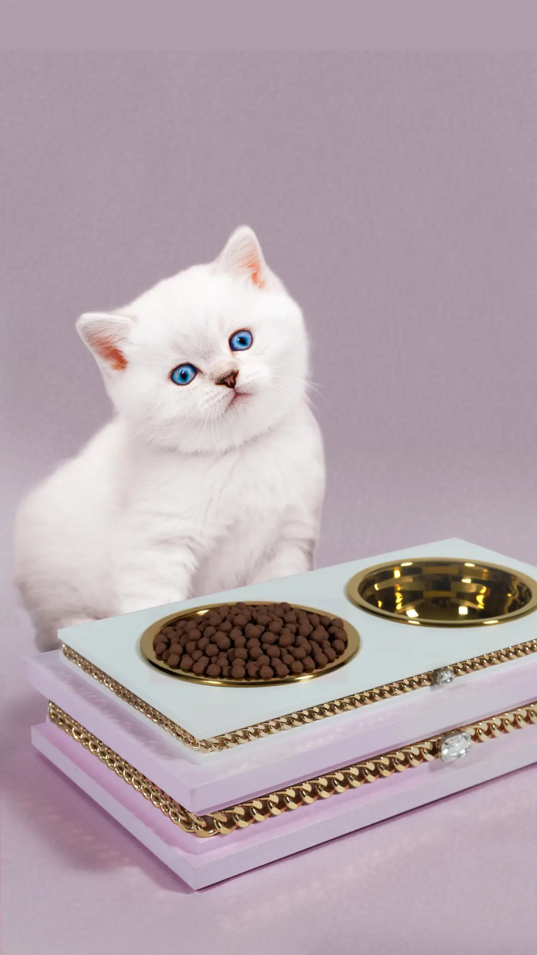 BON APPÉTIT Mobile Banner