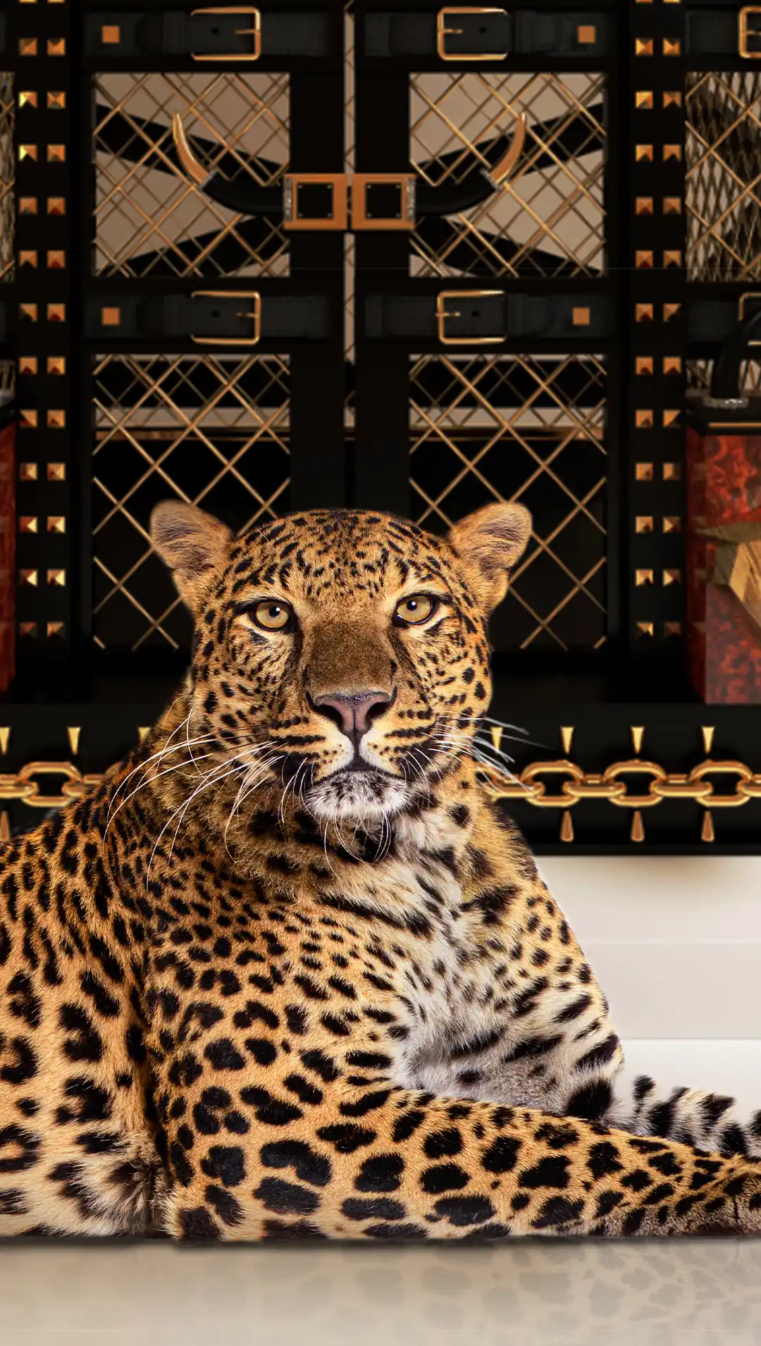 EXOTIC ANIMALS Mobile Banner