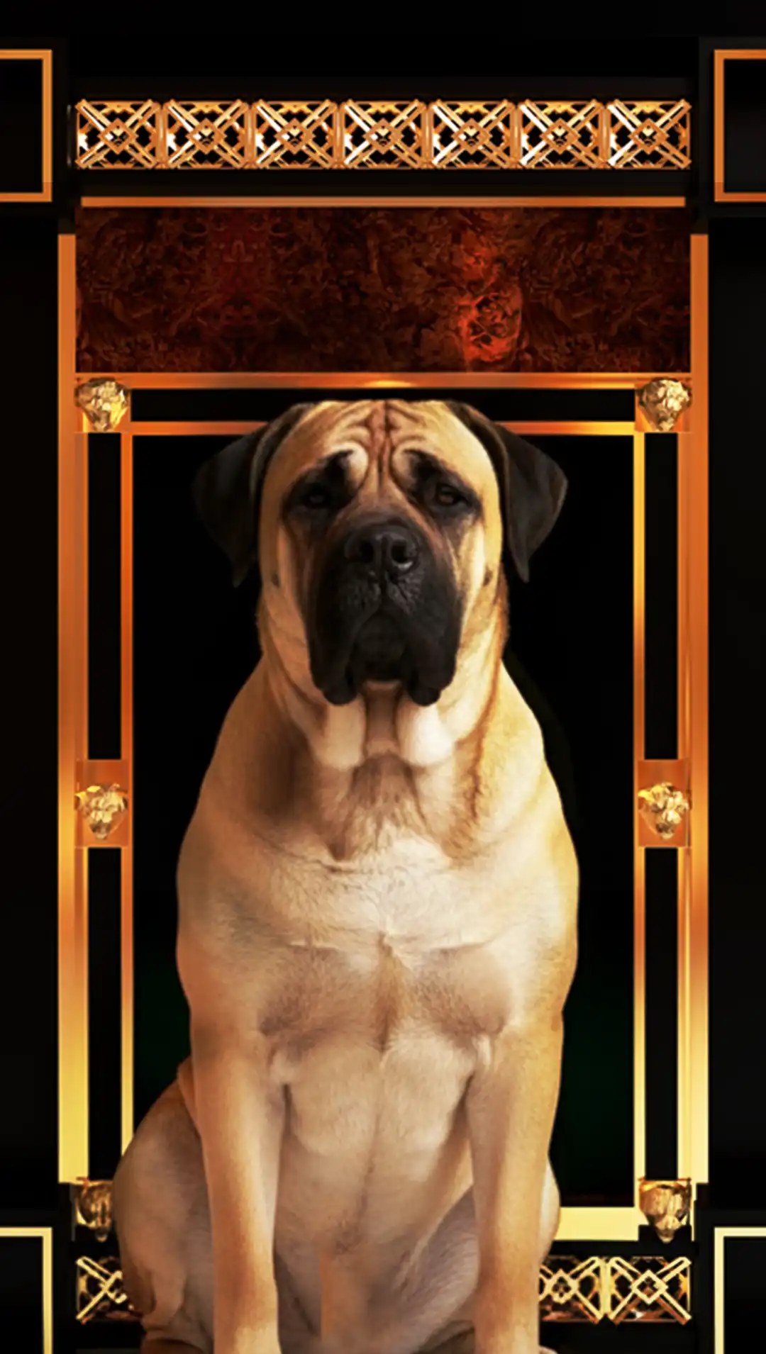 ROYAL KENNELS Mobile Banner